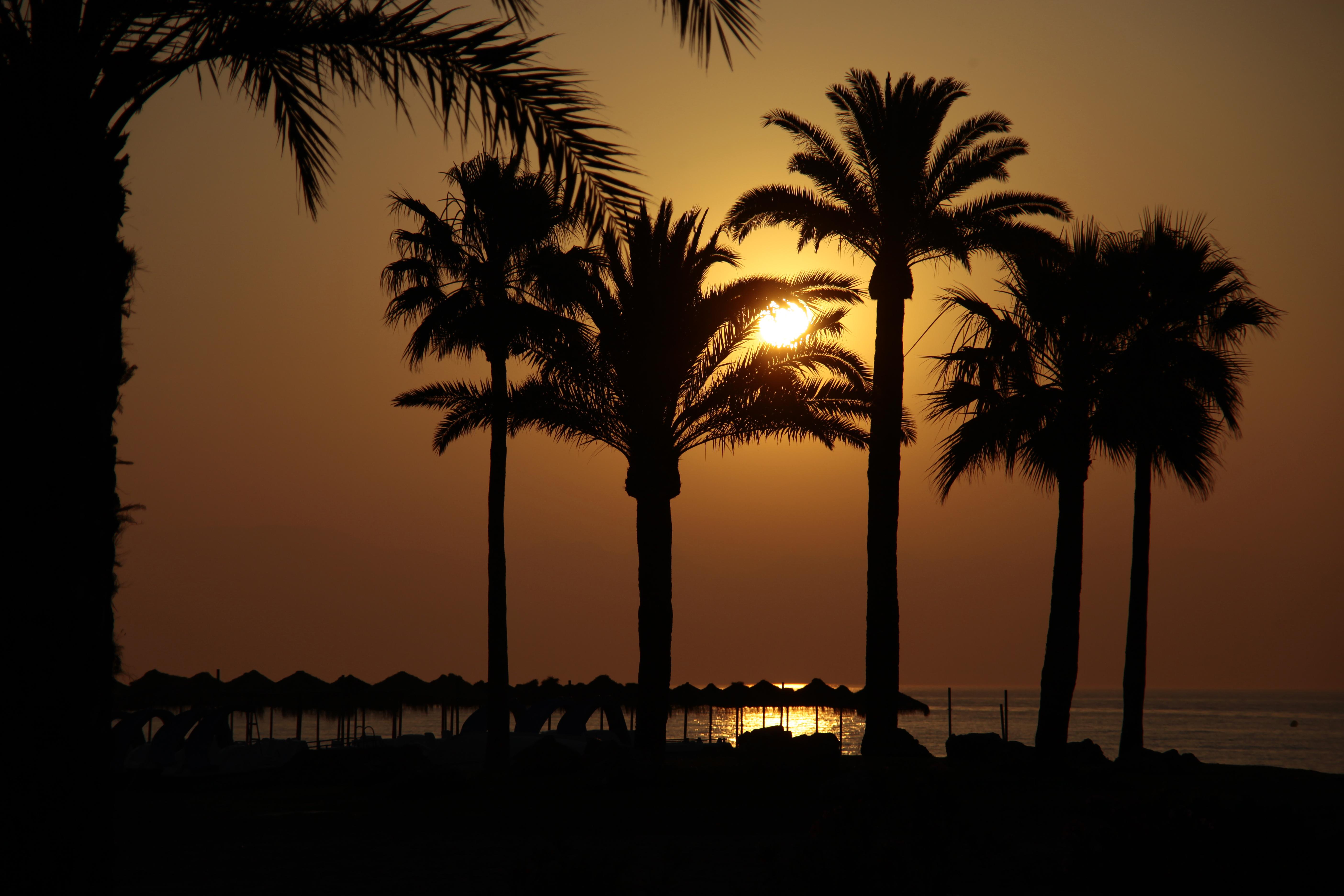 Marconfort Costa del Sol Torremolinos Esterno foto